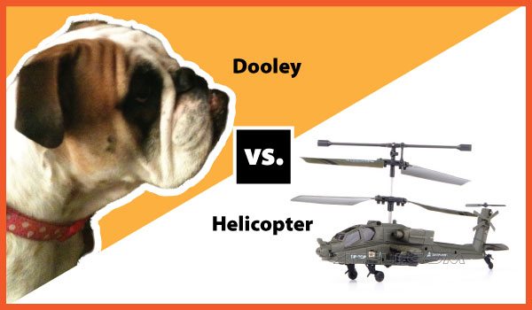 Read Dooley vs. Helicopter
